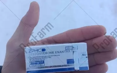 Отзыв от клиента "Антон"