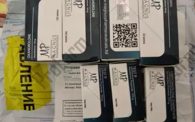 Отзыв от клиента "Василий"