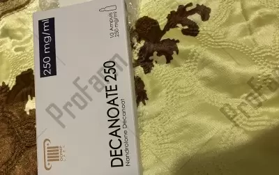 Отзыв от клиента "Эльмар"