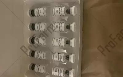 Отзыв от клиента "Марсель"