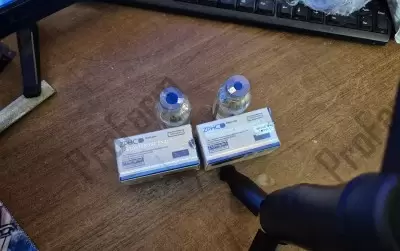 Отзыв от клиента "Василий"