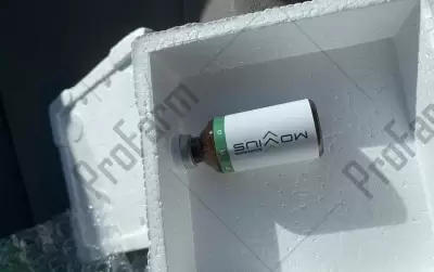 Отзыв от клиента "Марсель"