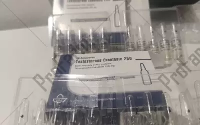 Отзыв от клиента "Николай"