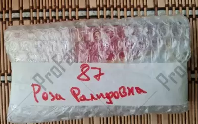 Отзыв от клиента "Роза"