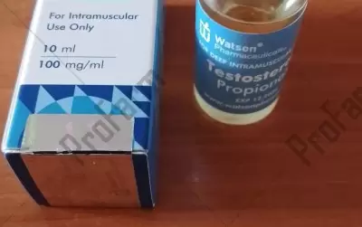 Отзыв от клиента "Слава"