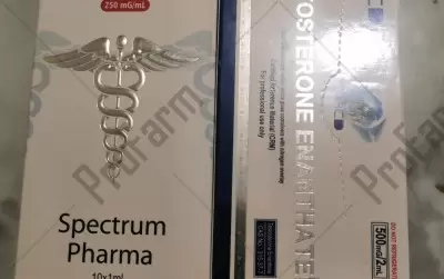 Отзыв от клиента "Василий"