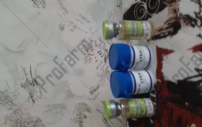 Отзыв от клиента "Иван1"