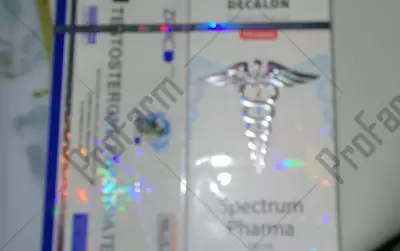 Отзыв от клиента "Василий"