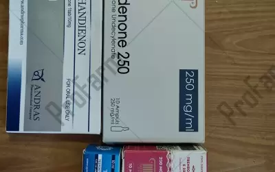 Отзыв от клиента "Pumpo"