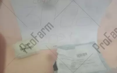 Отзыв от клиента "Мишка"