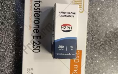 Отзыв от клиента "Руслан"