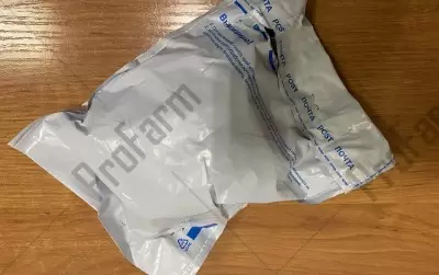 Отзыв от клиента "Михаил"