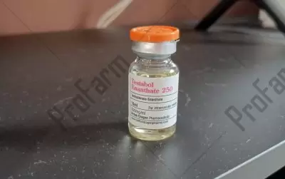 Отзыв от клиента "Alik Vitt"