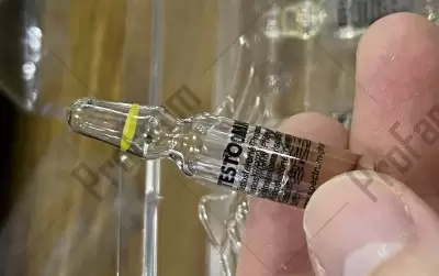 Отзыв от клиента "Владимир"