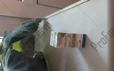 Отзыв от клиента "Юлия"