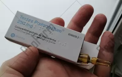 Отзыв от клиента "Роман"