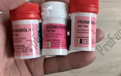 Отзыв от клиента "Родион"