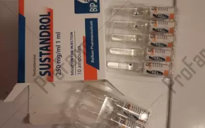 Отзыв от клиента "Алёша"