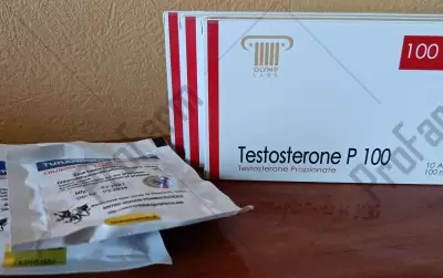 Отзыв от клиента "Славчик"