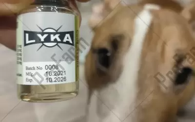 Отзыв от клиента "Александр"