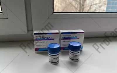 Отзыв от клиента "Владиммр"