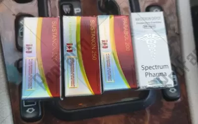 Отзыв от клиента "Михаил"