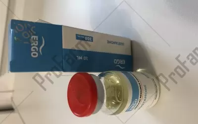 Отзыв от клиента "Notorious"