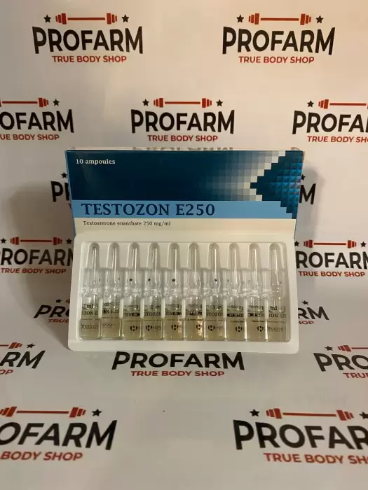 Horizon Testozon E 250mg/ml - цена за 10 ампул просрок до 10.2024