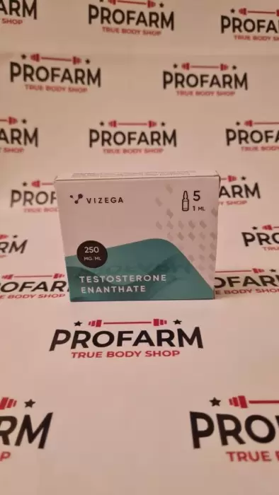 Testosterone E Vizega 5ампул 250мг/мл