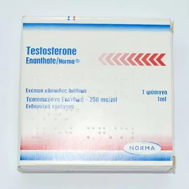 Testosterona Enanthate (Тестостерон энантат) 250mg/ml