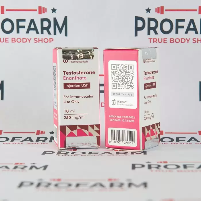 Watson New Testosterone Enanthate 250mg/ml 10МЛ