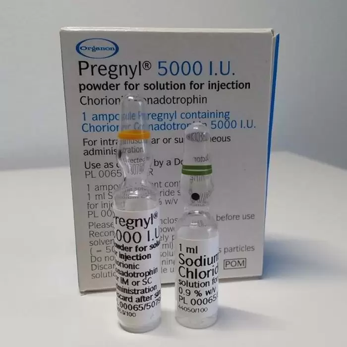 Pregnyl (Прегнил) 5000 Аптека Турция, с раствором