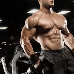 ТЕСТОСТЕРОН. От и до о главном гормоне